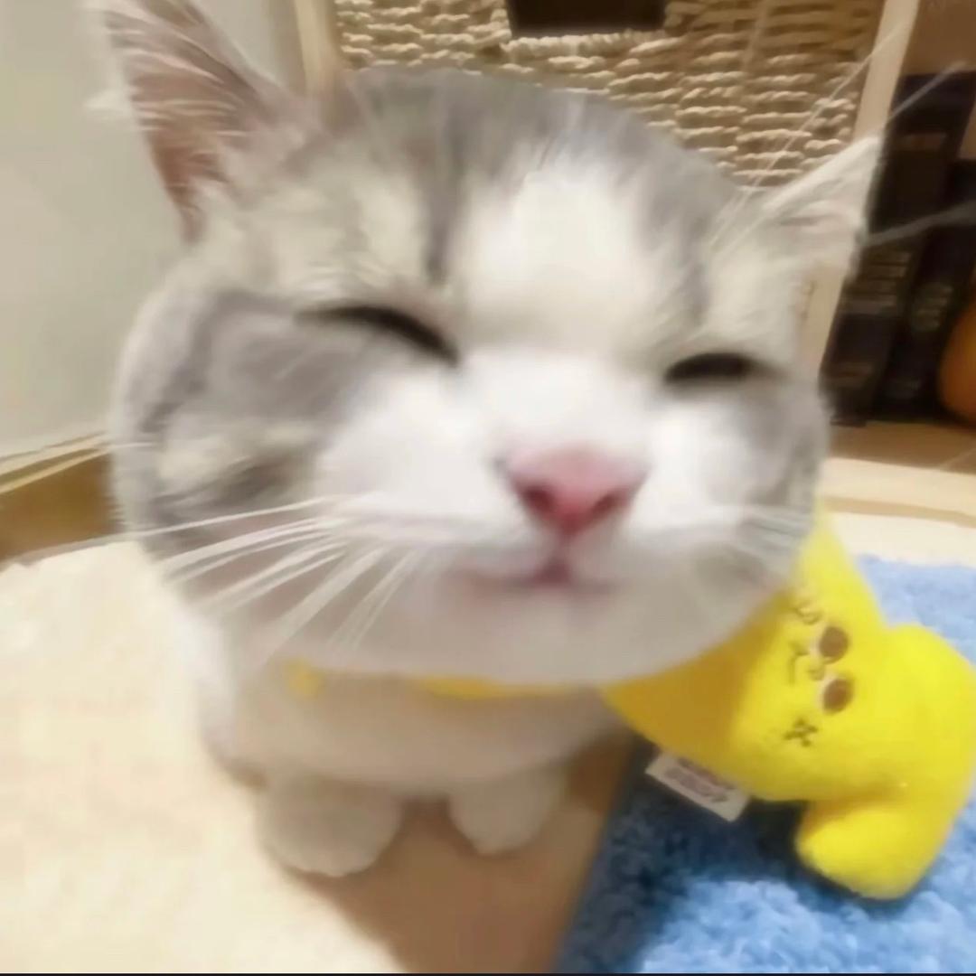 又可