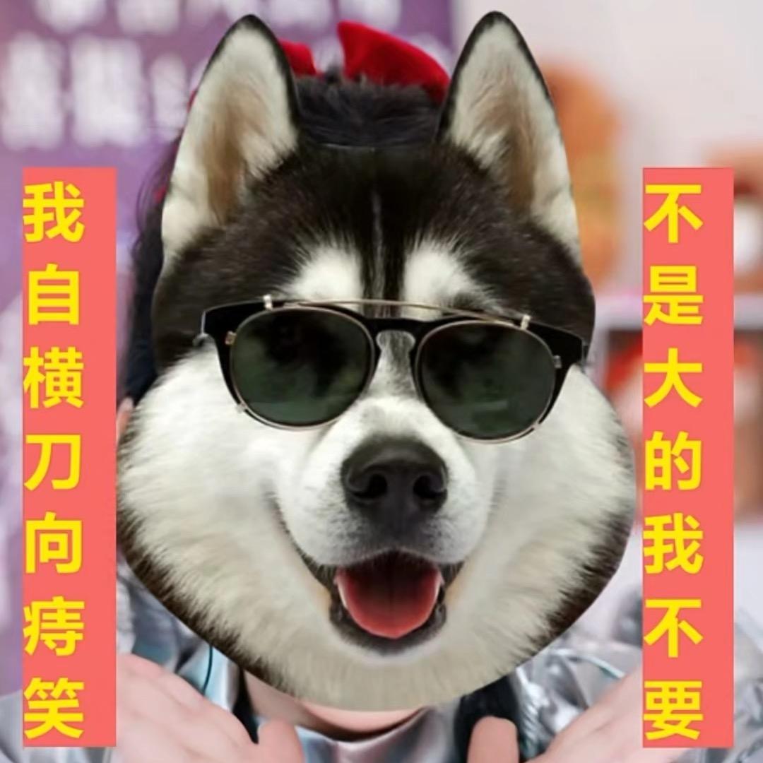 大鹿鹿🦌⁷¹¹
