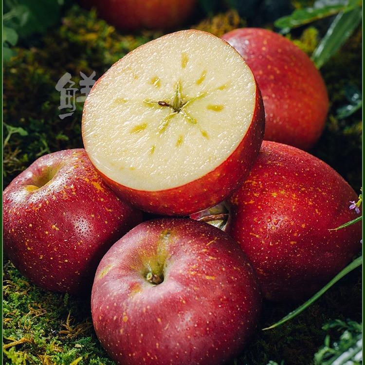 果真香昭通丑苹果