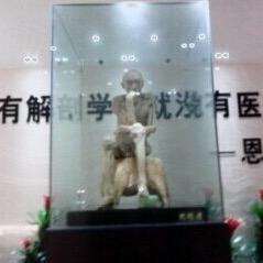 Xapa  atqi 急公