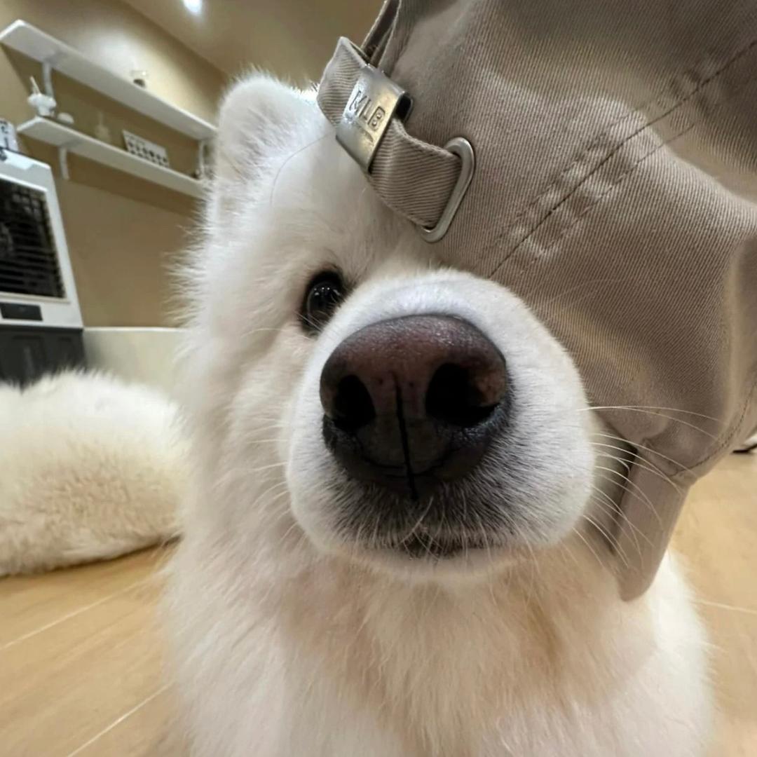 黏人一