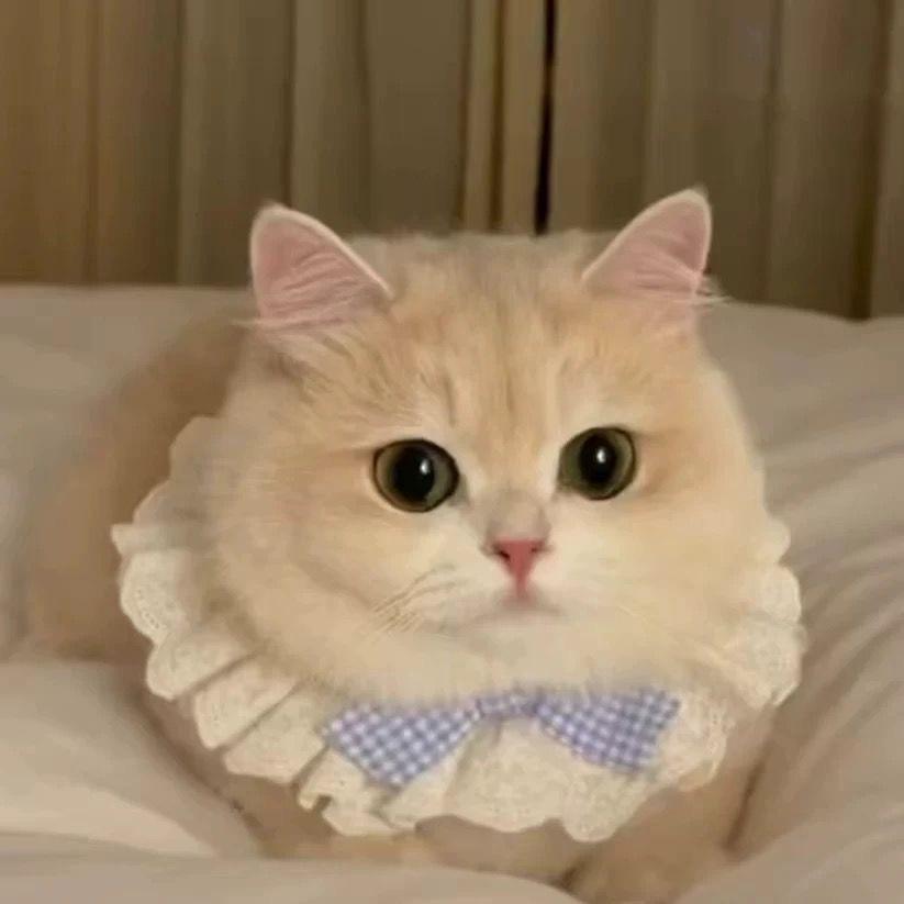 小怪怪怪、