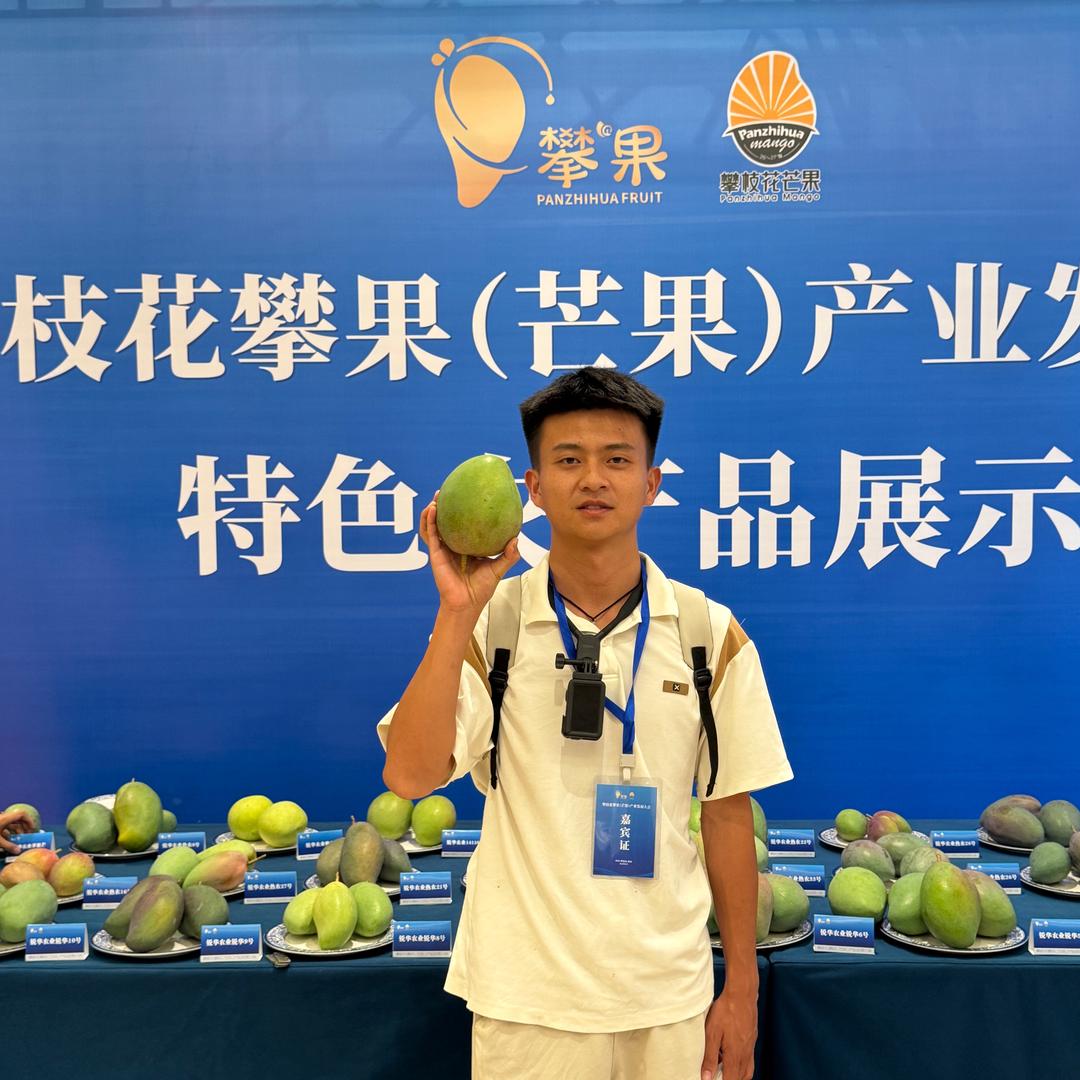 助销主任-仲柴龙
