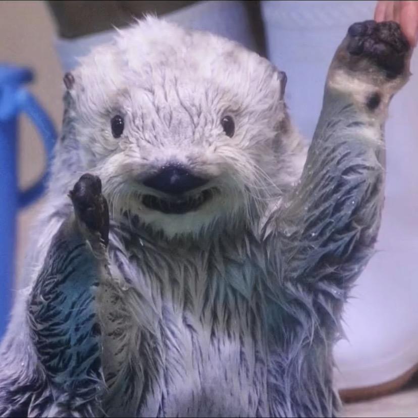 米塔的珠宝材料铺