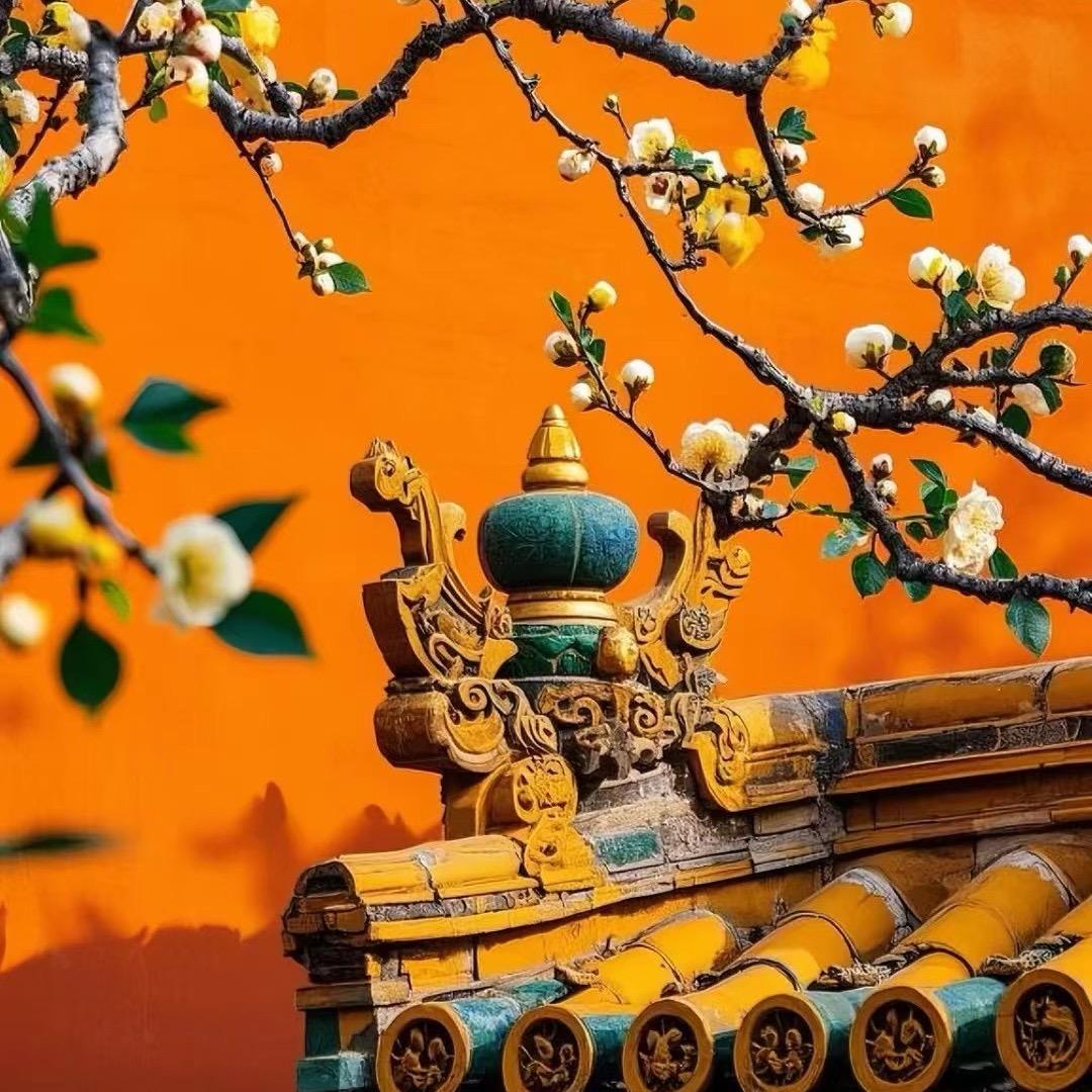 据说名字可以取的这么长这么长这么长这么长