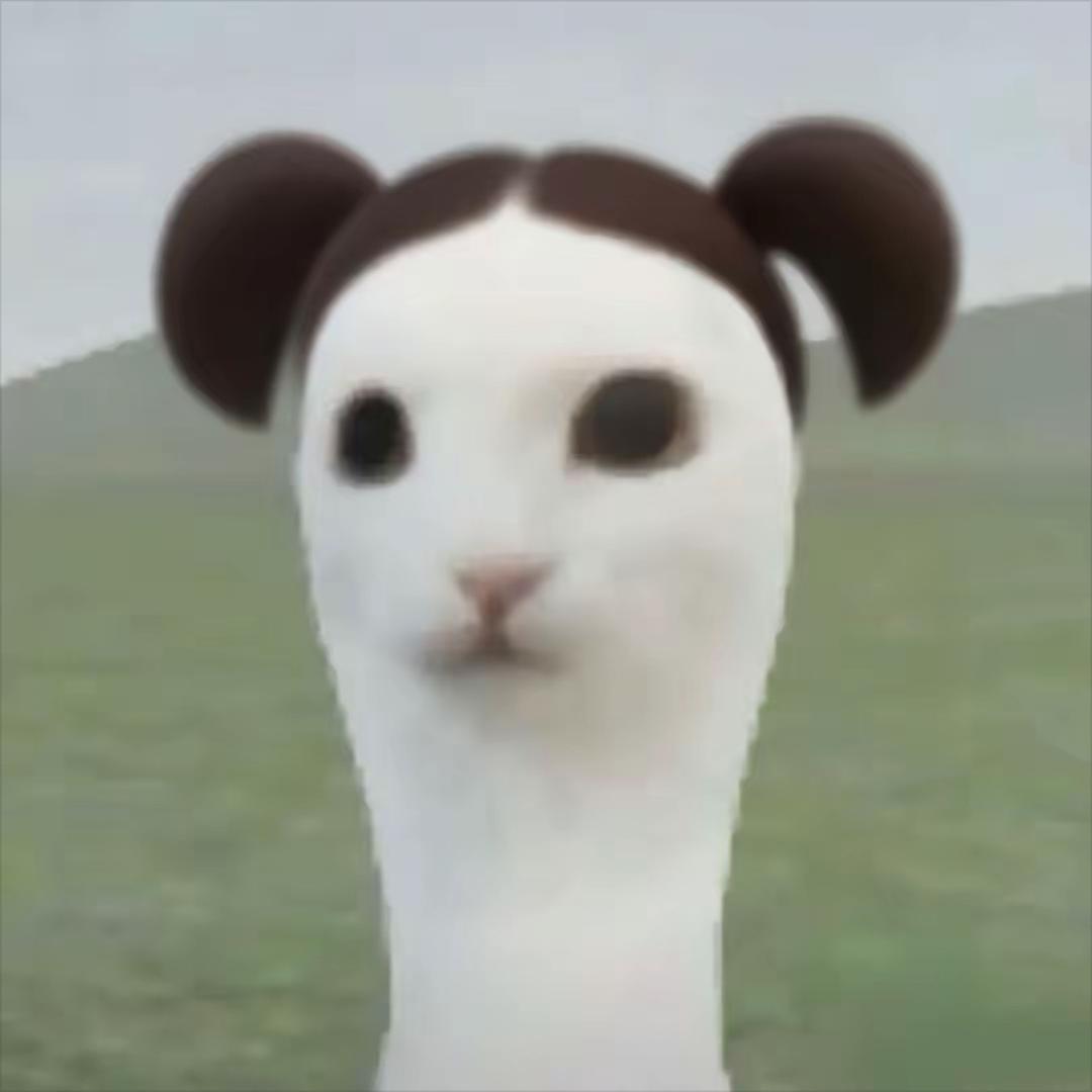 🐰