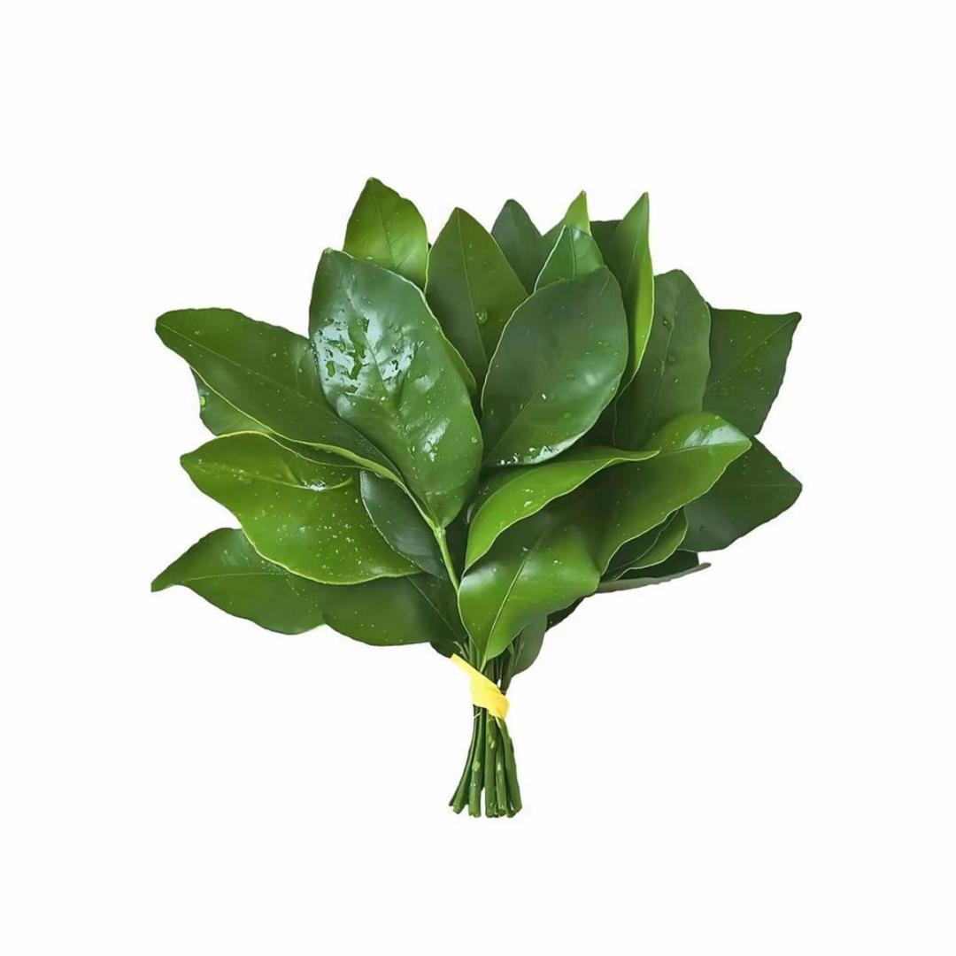火爆辣椒