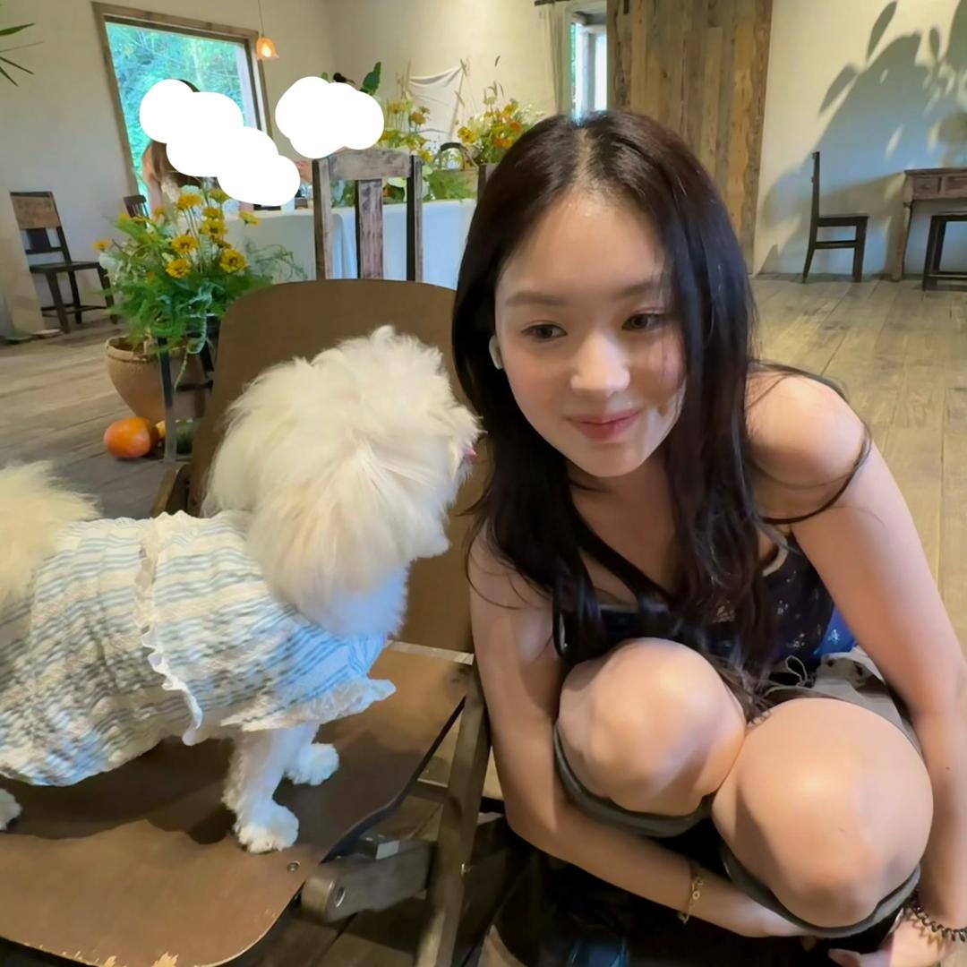 不加倍