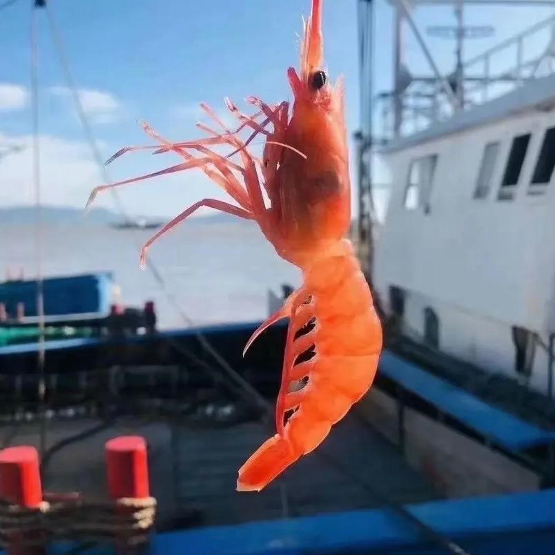 渔百味东海生鲜