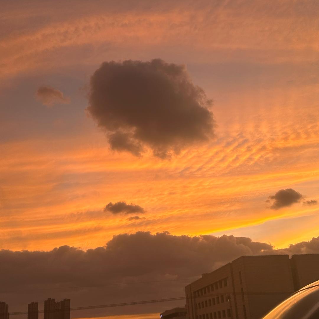 蝌蚪妈妈和青蛙孩子