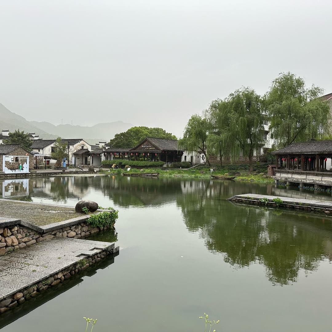 小阿飞🤵‍♂️