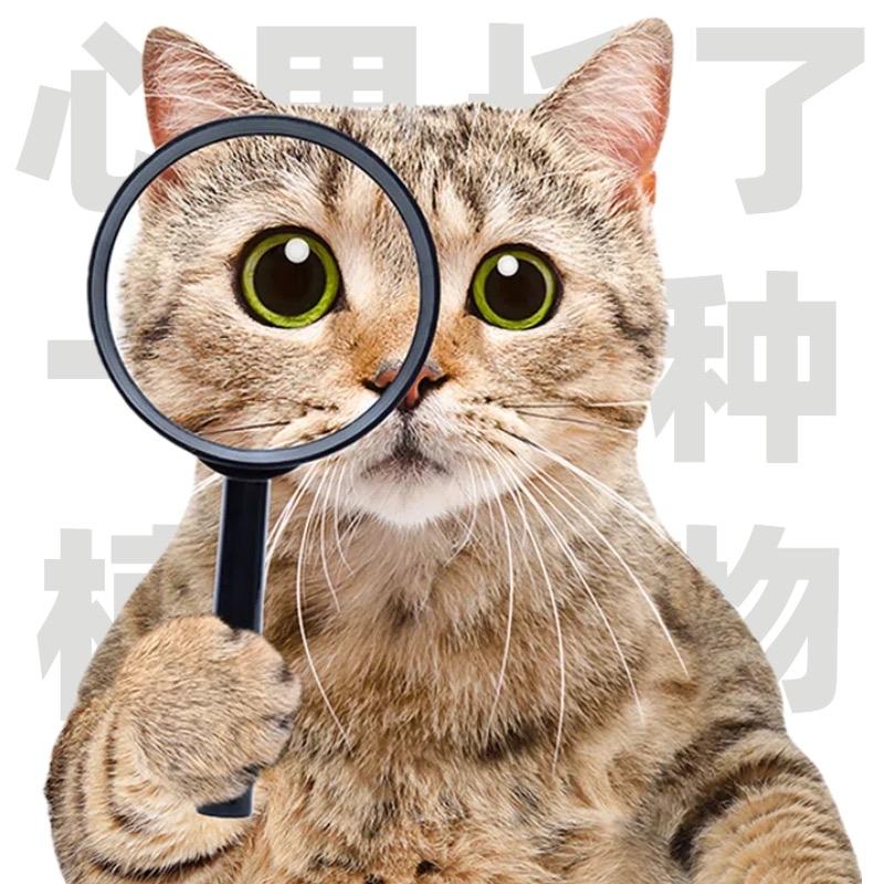 猫砂王（卖猫砂的）🐱🐱🐱