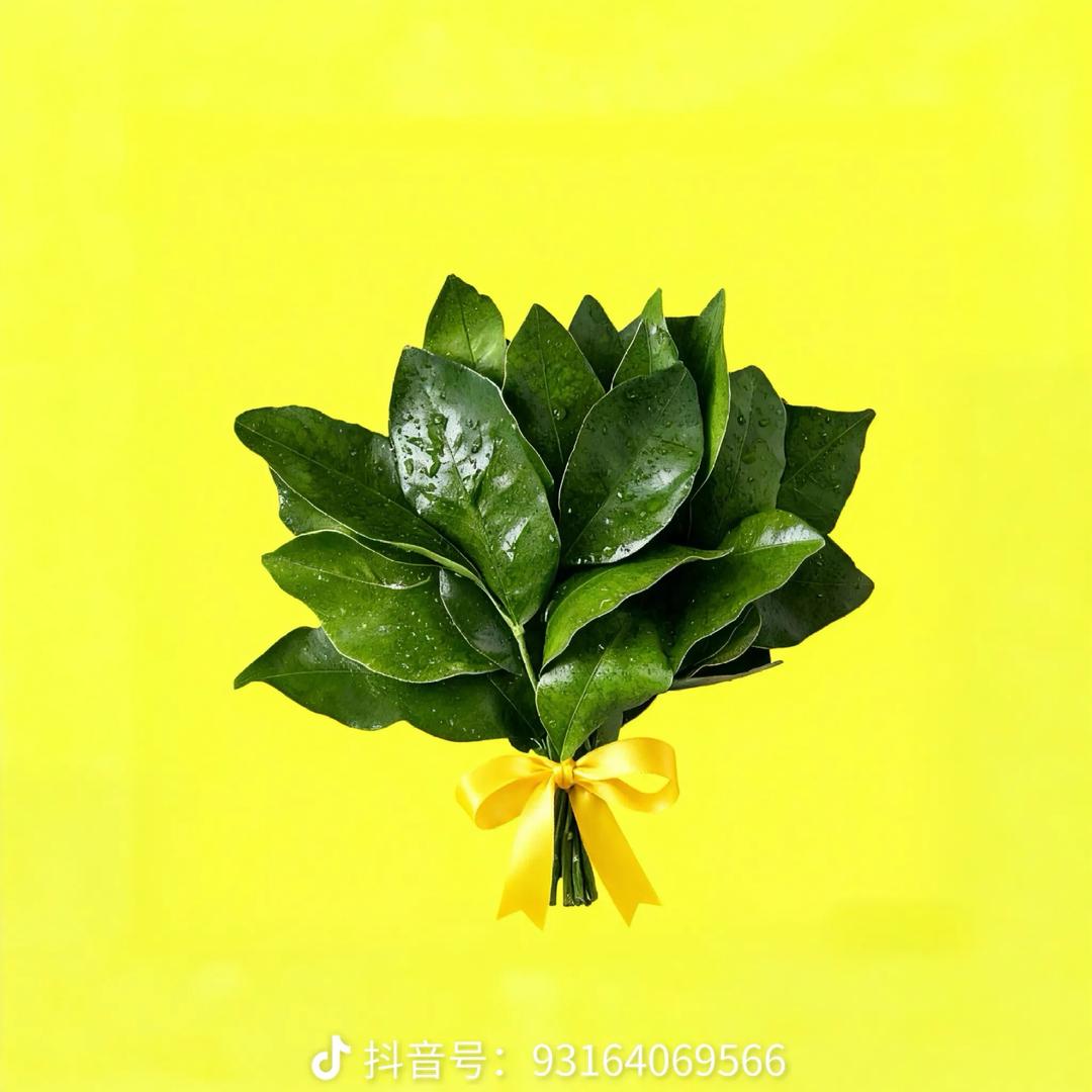 我的那年冬
