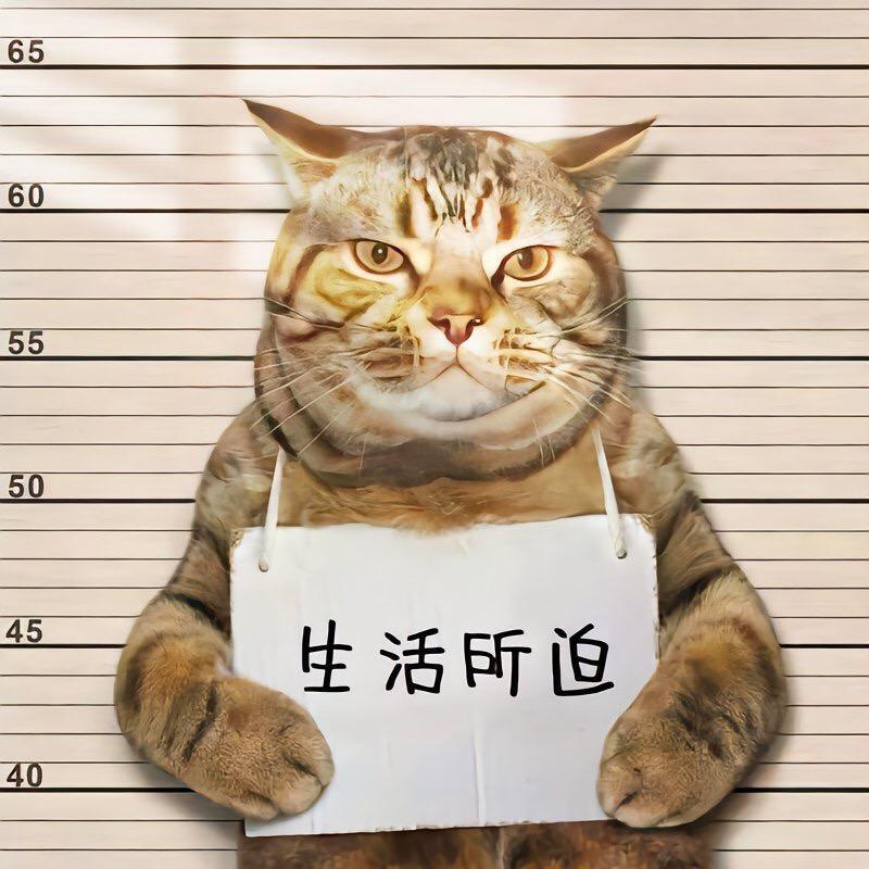 决明子.