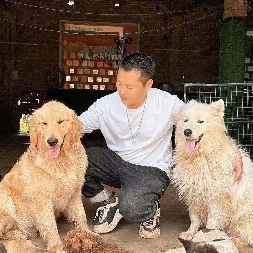 万年杨哥流浪狗救助大使