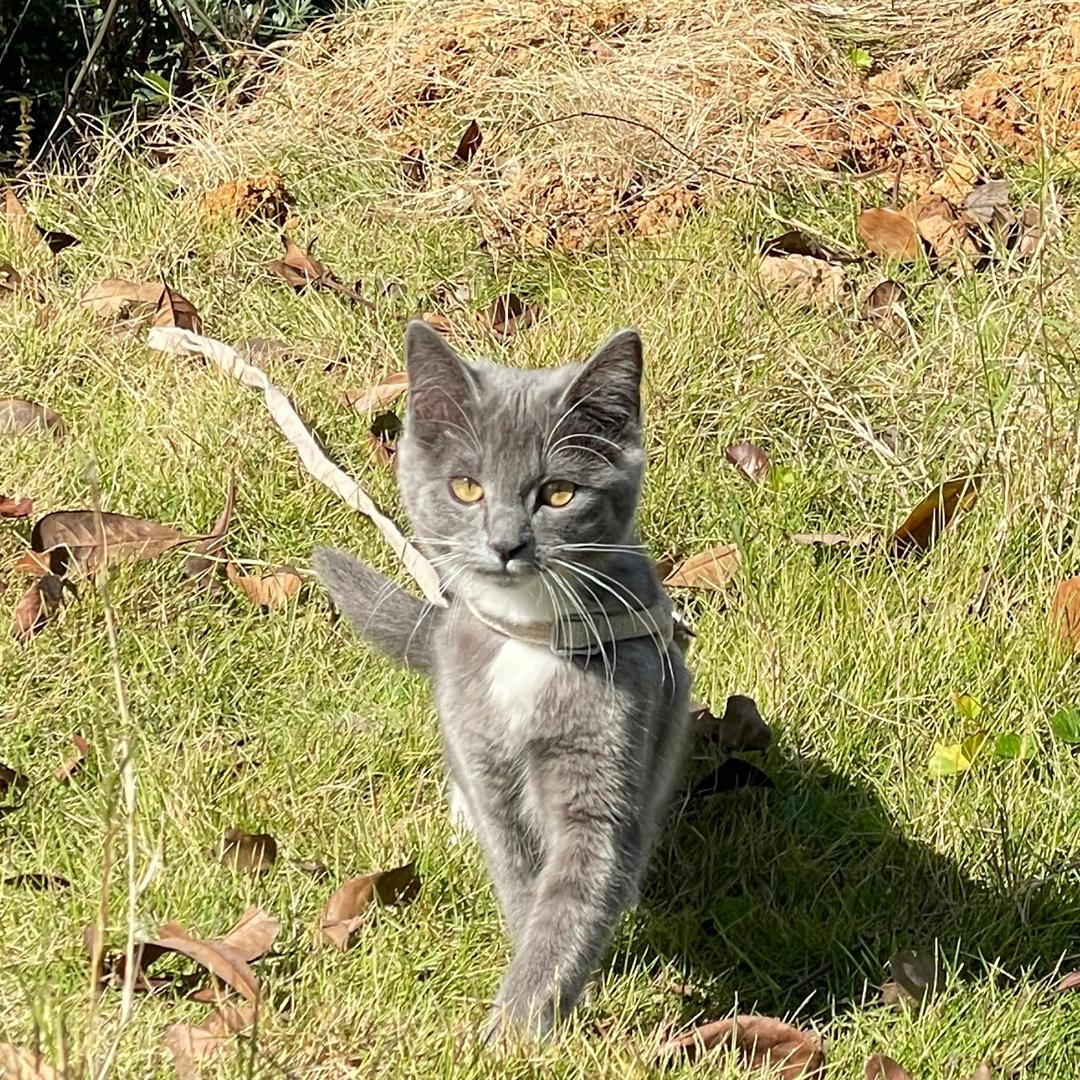 R° 🌞