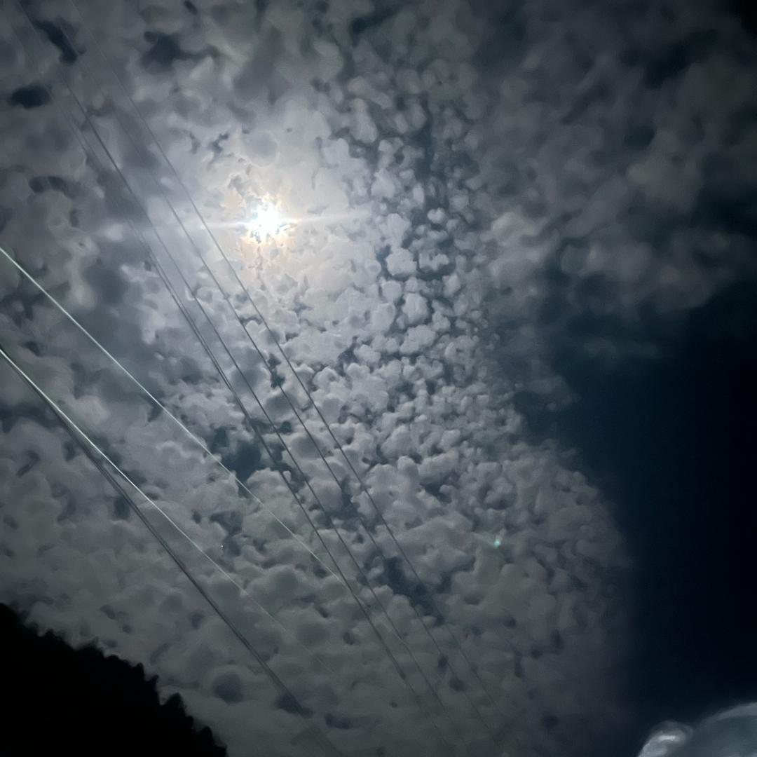 魔力