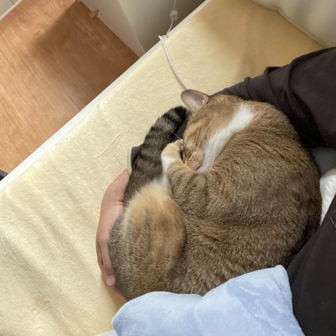 鱼小鱼的老头