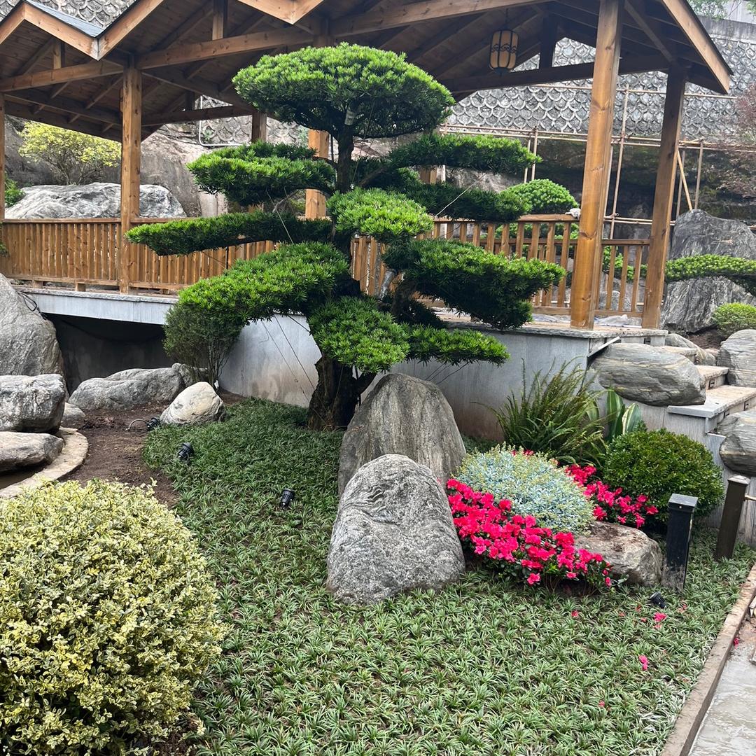 广安市绿尚园艺有限公司