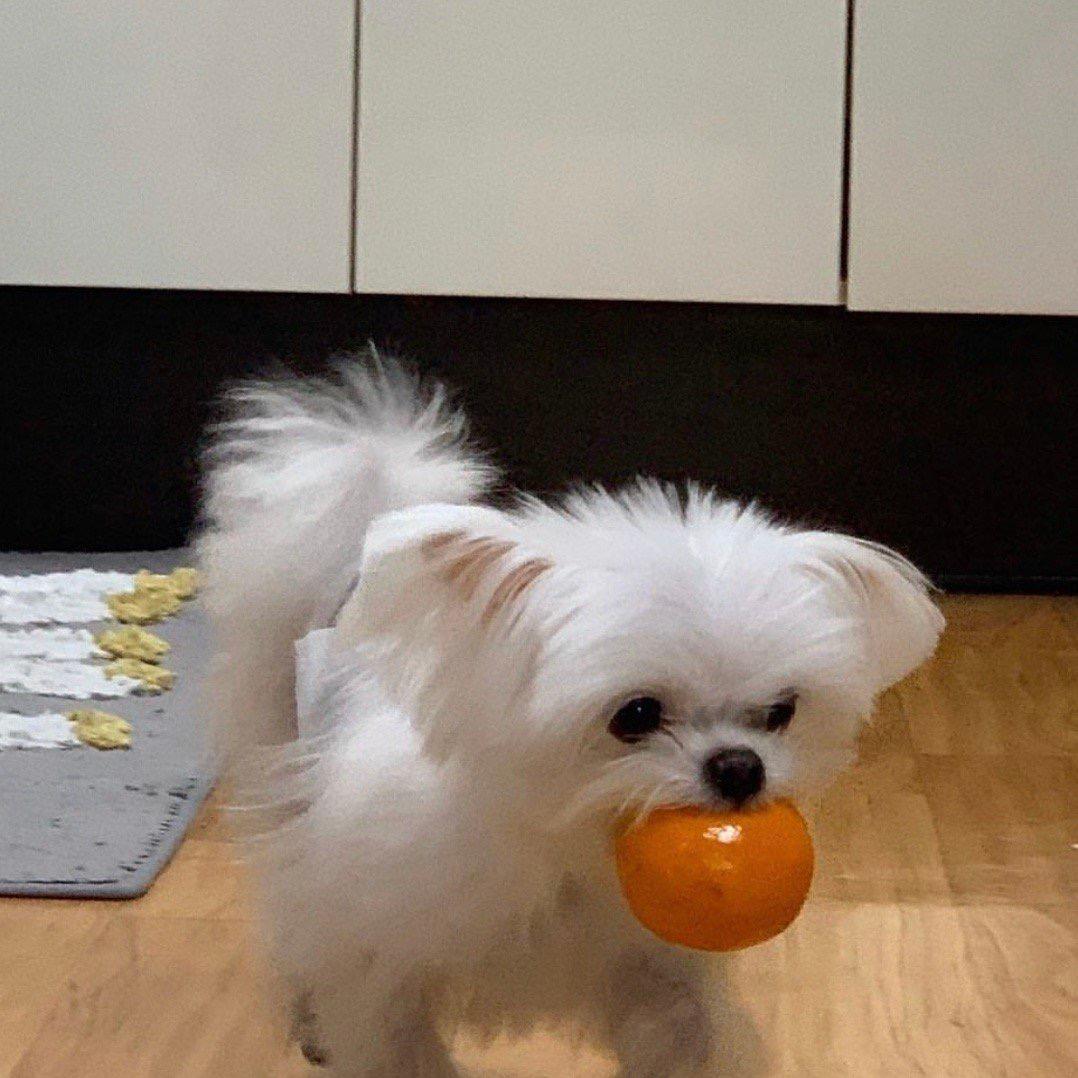 zeeh