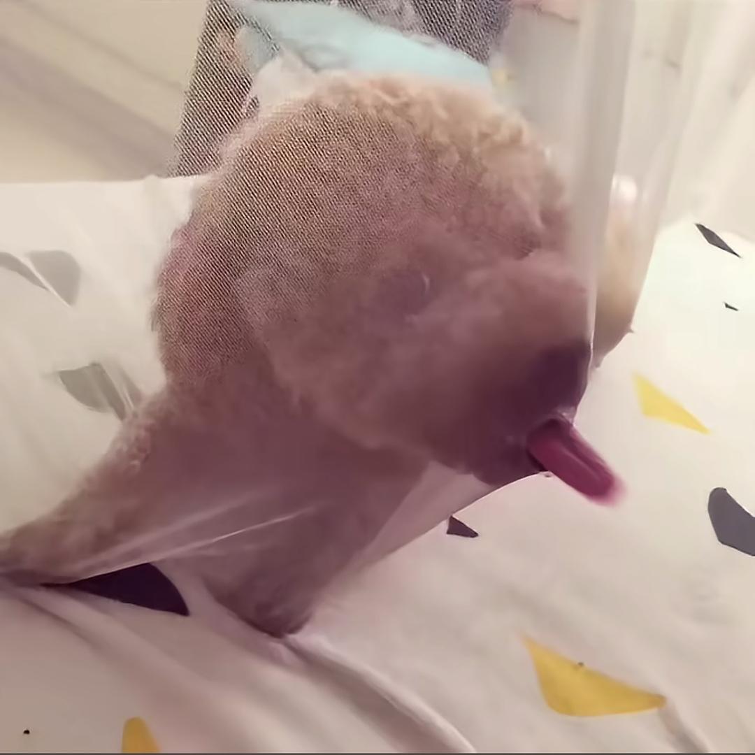 韩1然