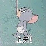 刘不懂
