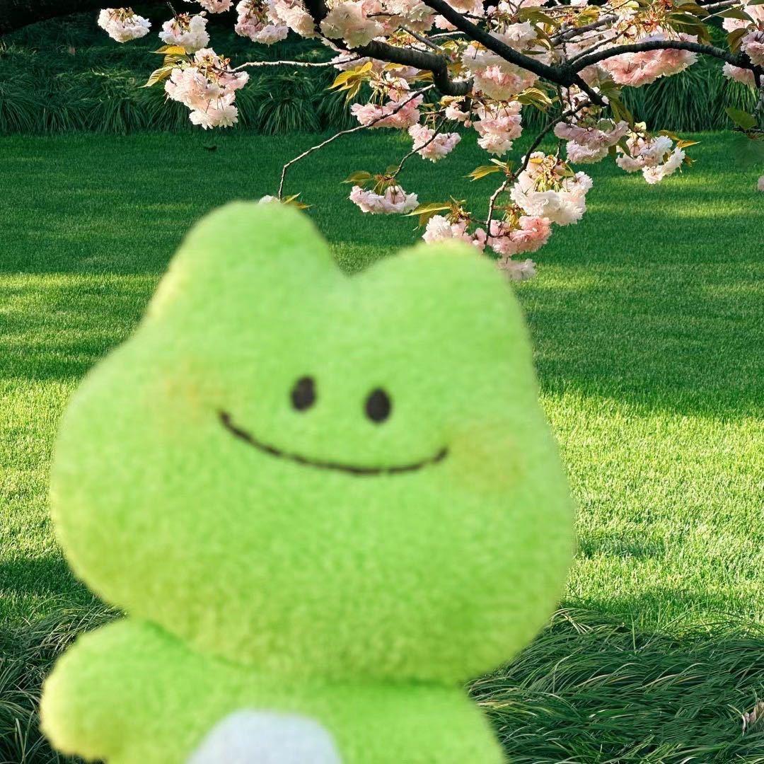 你是伴奏