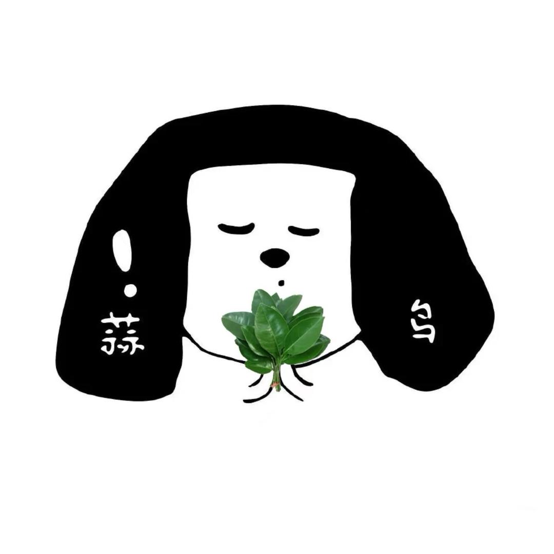 今天好好吃饭了吗🍽️