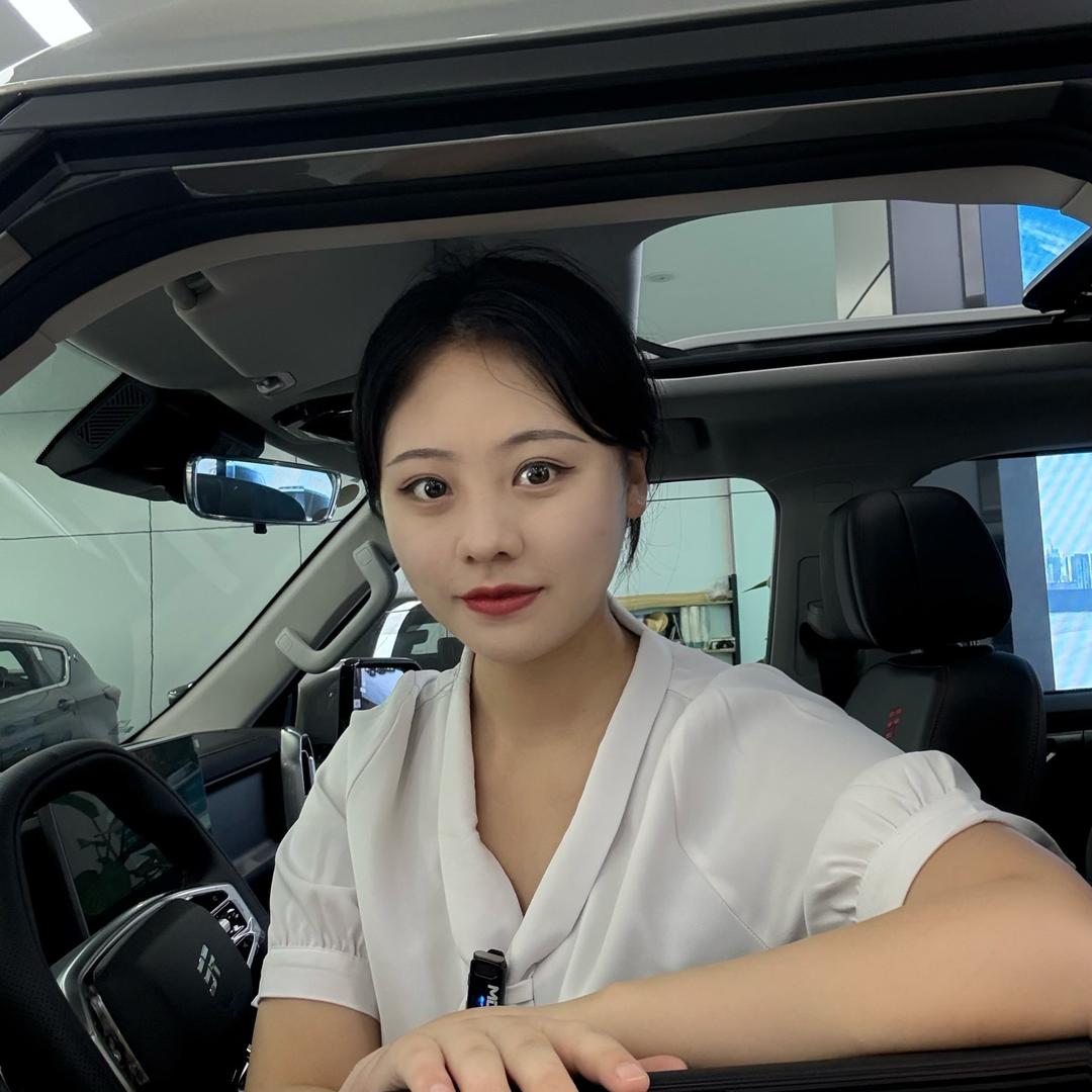 眉山星辉捷途智慧店（发发妹儿）