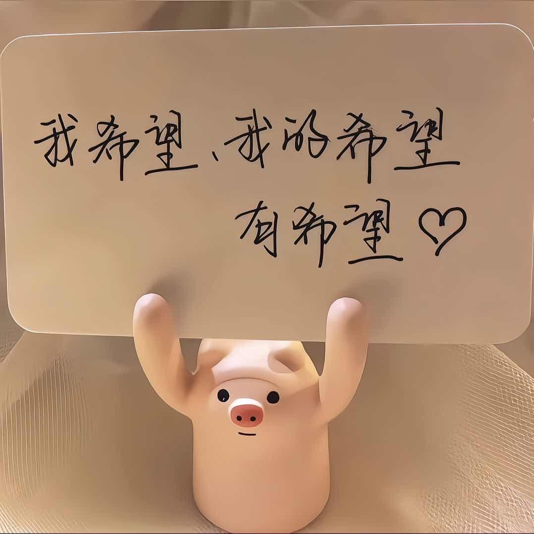 Qi.🐷