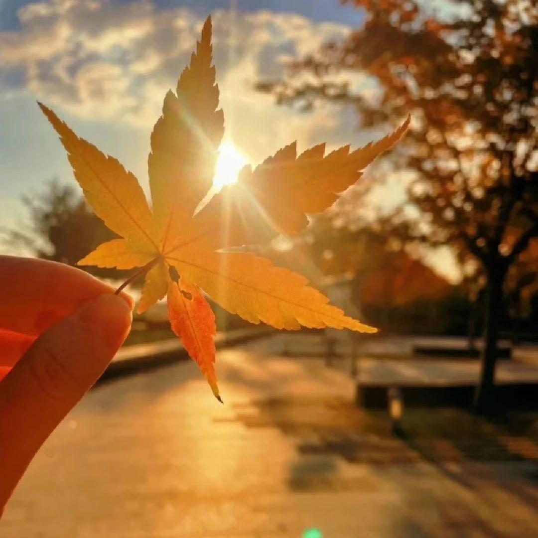 繁花严选女鞋