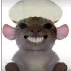 鼠鼠饿了