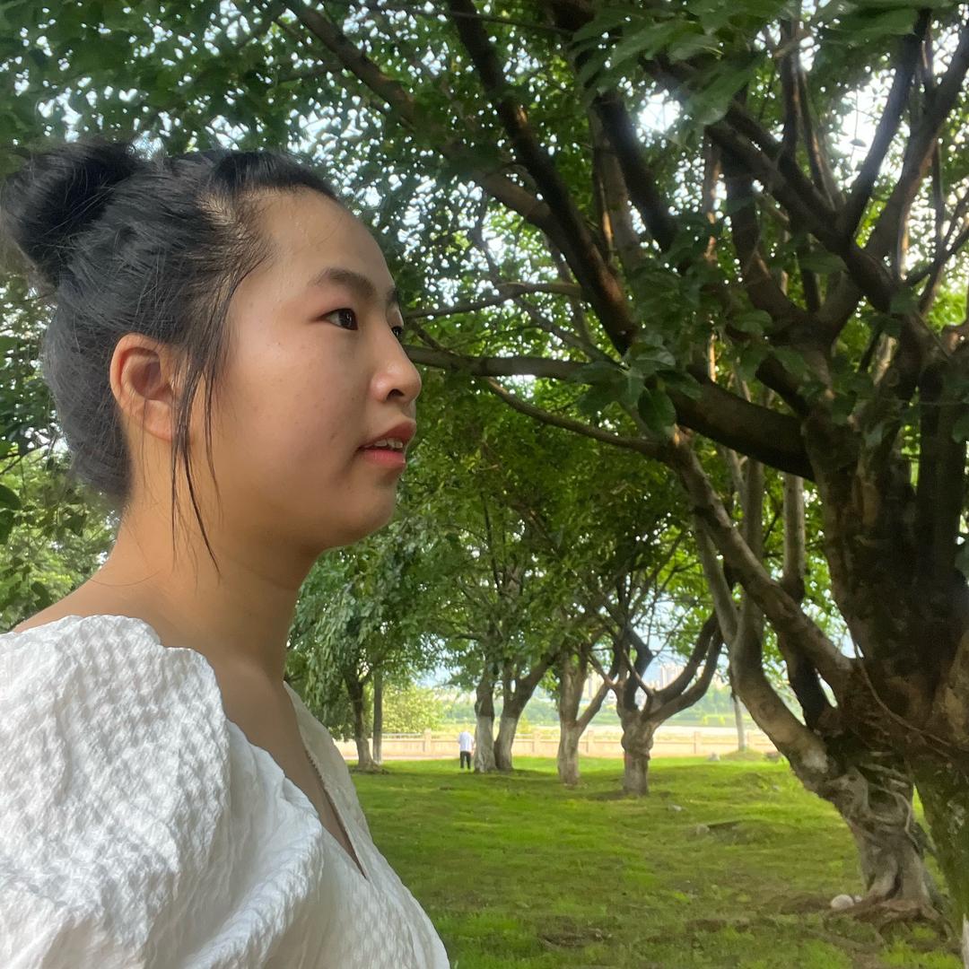 漂亮的花朵