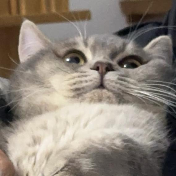 旺仔发财妈（贴贴在置顶）