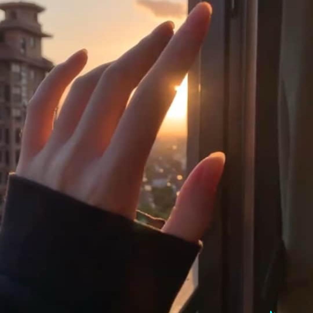 执子之手,与子携老