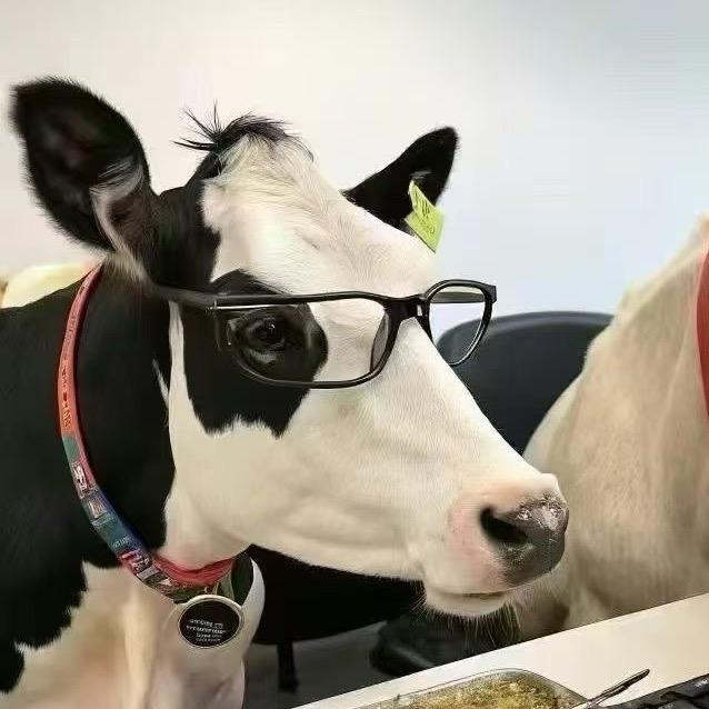 🍋只选好房子🍋