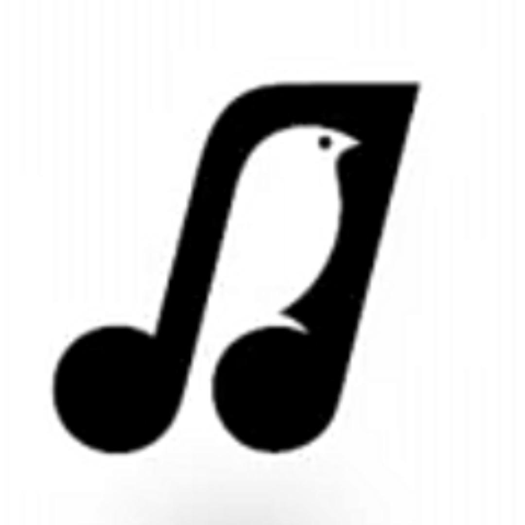 dj车载音乐汇（可购u盘）