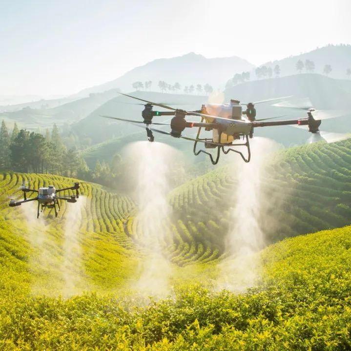 @DJI恭城仁禾农资飞防植保服务站