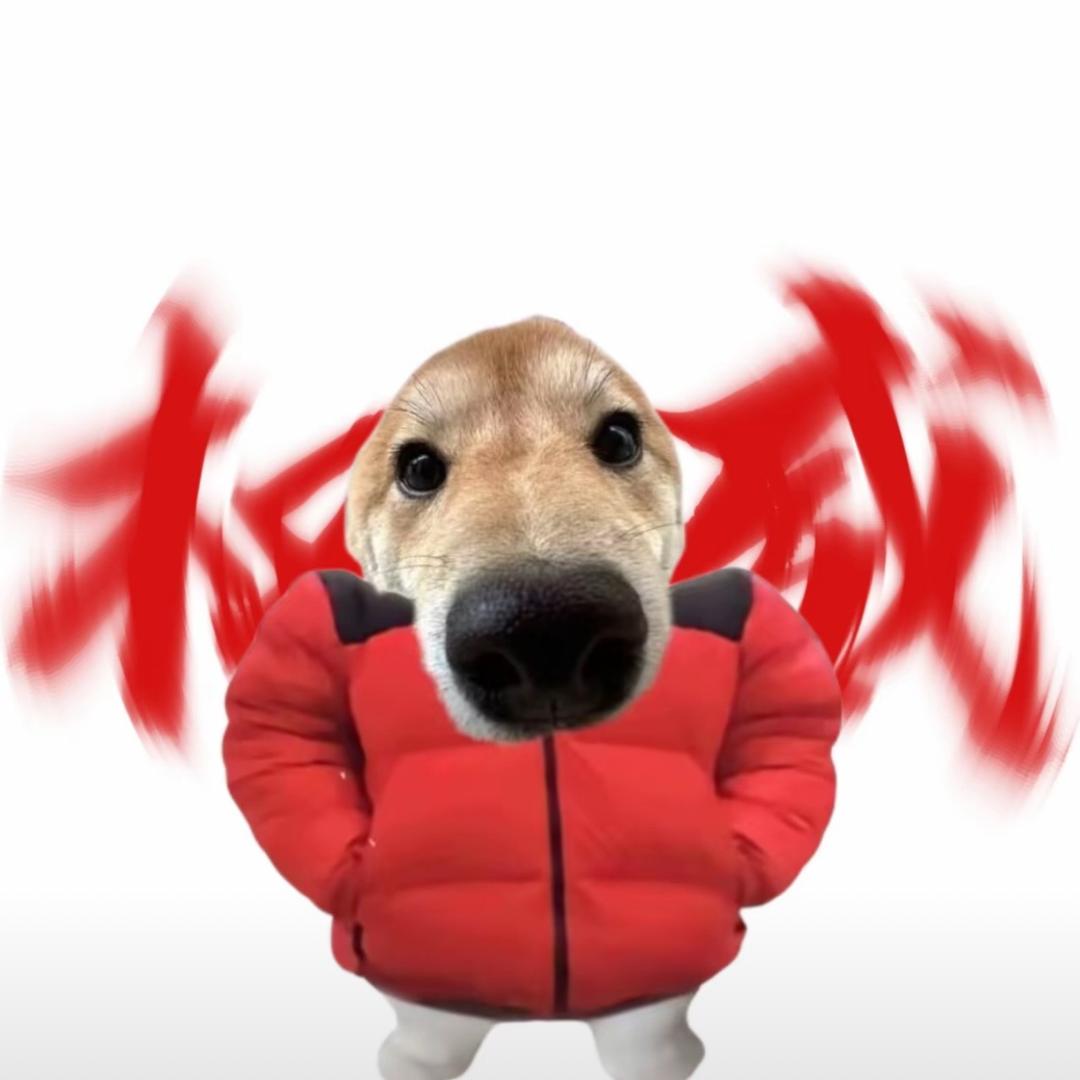 懒帕