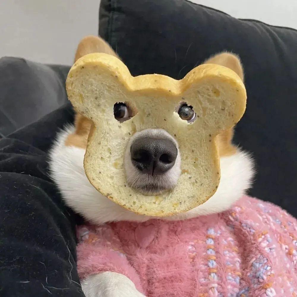 是我呀！
