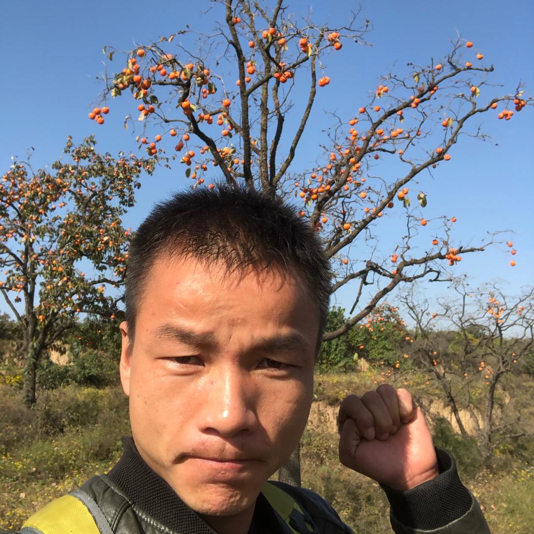 YOYO鲜果