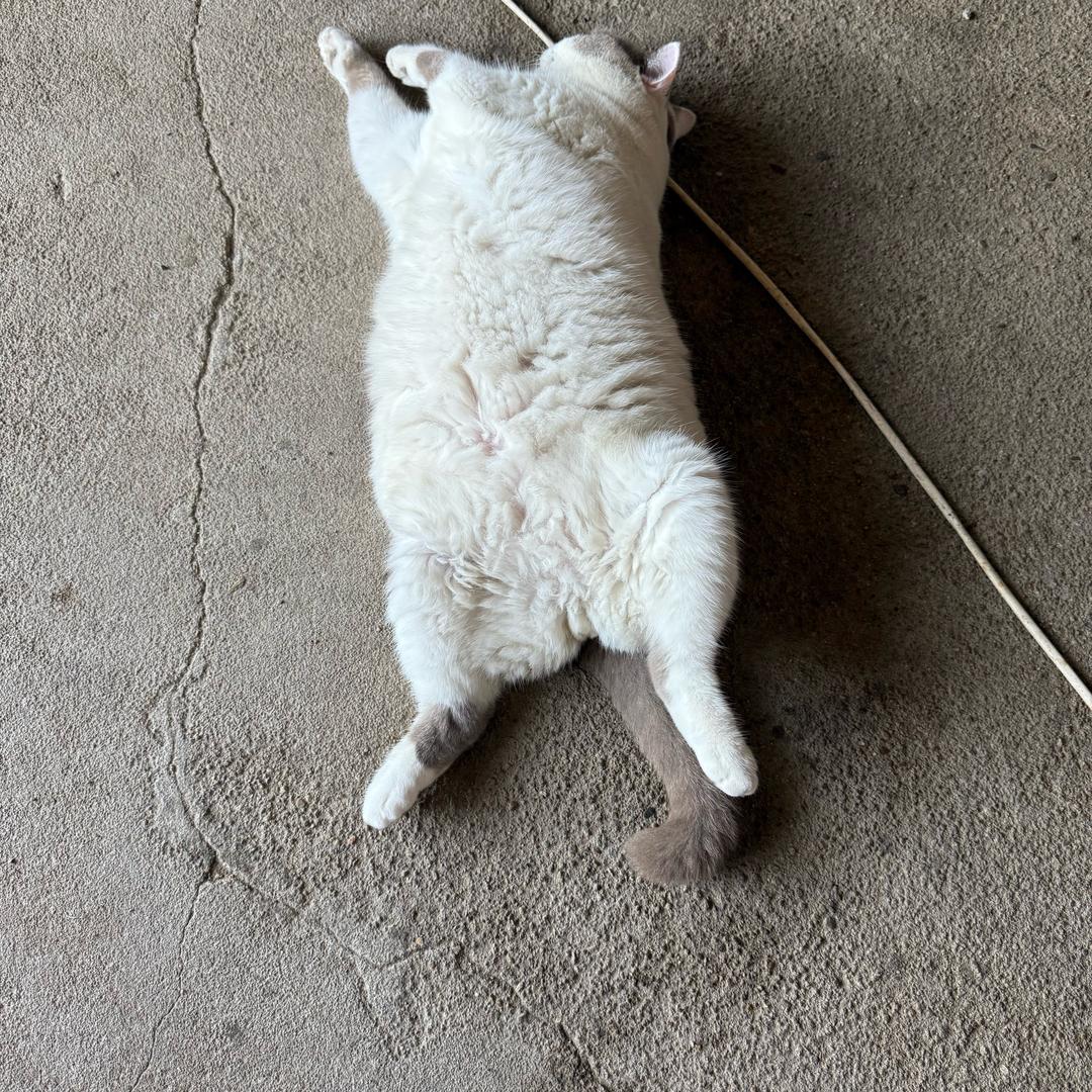 我家罐头不能吃