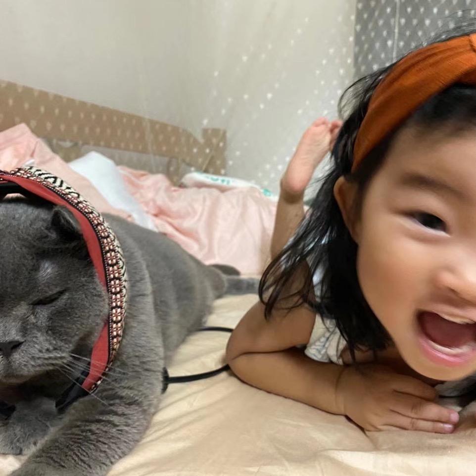 芝麻花生小丸子🐱🐈🍡