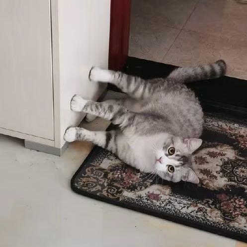 把爱留在冰城
