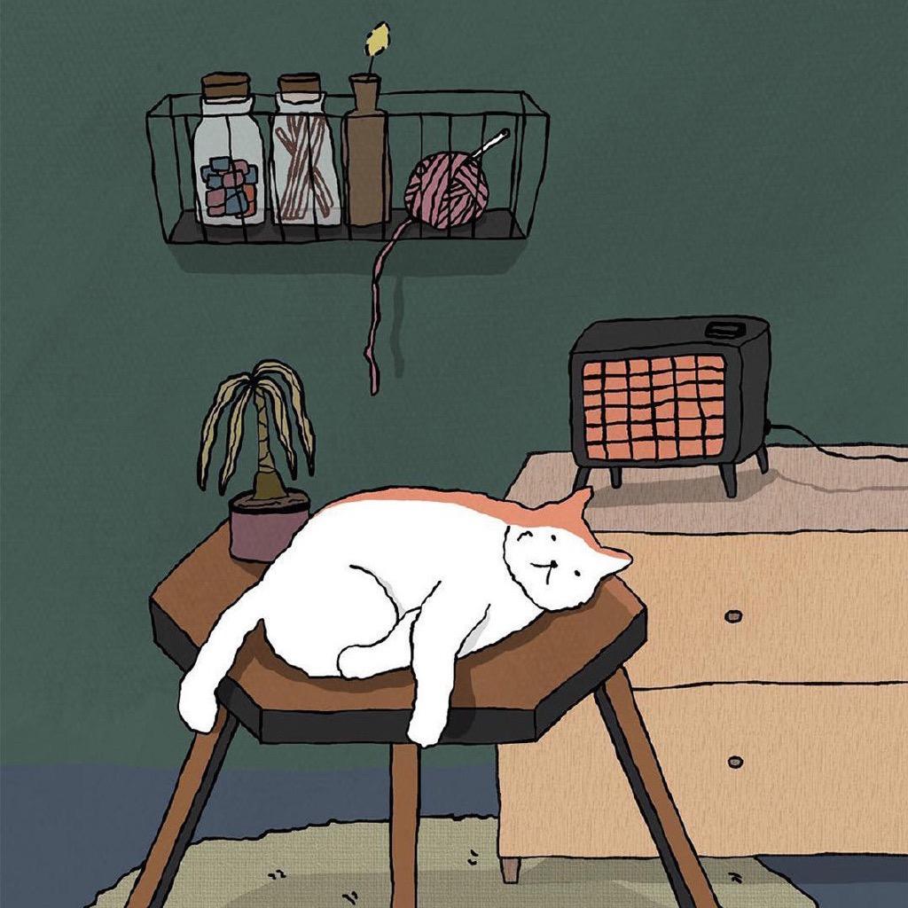 你的好朋友圆圆