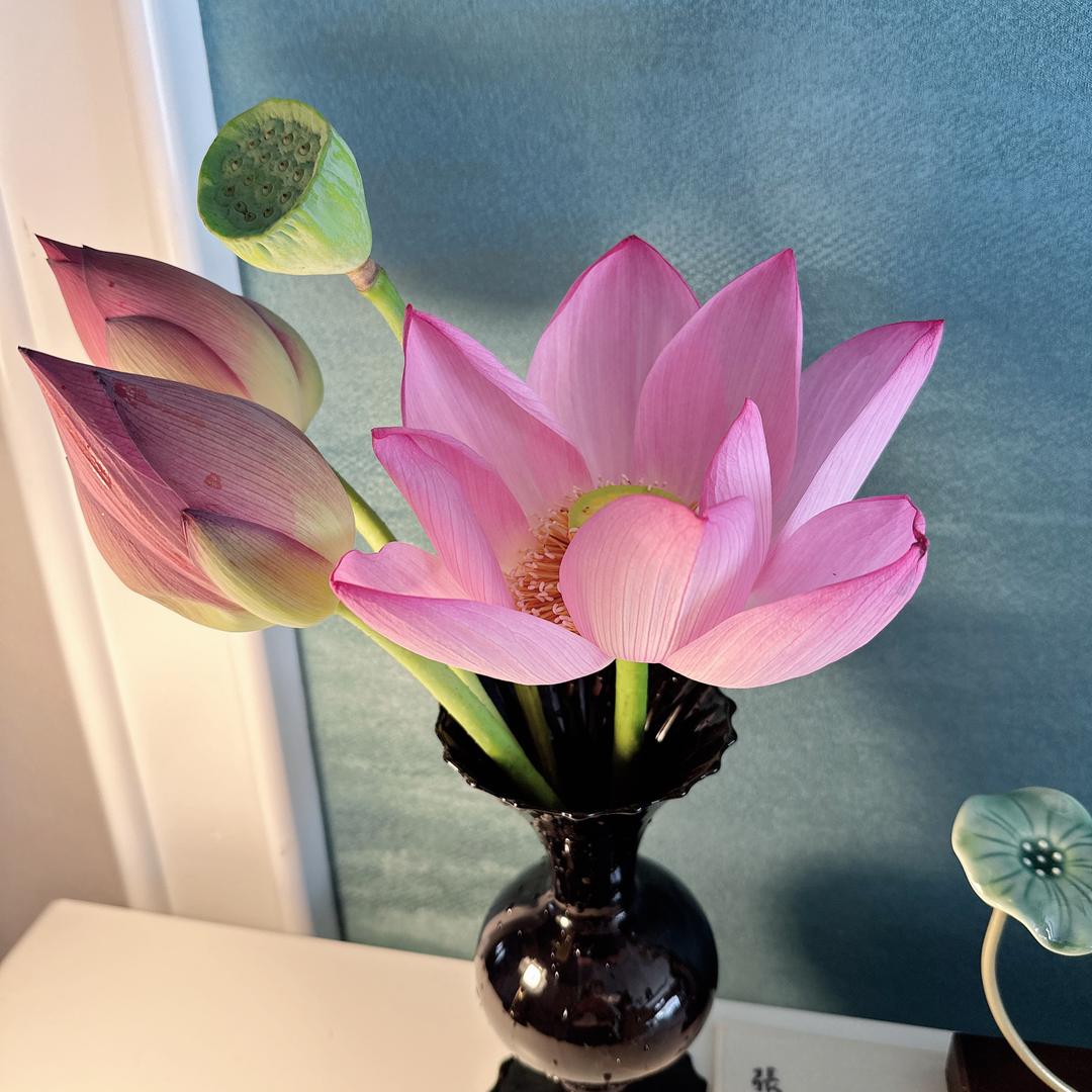 花开富贵～
