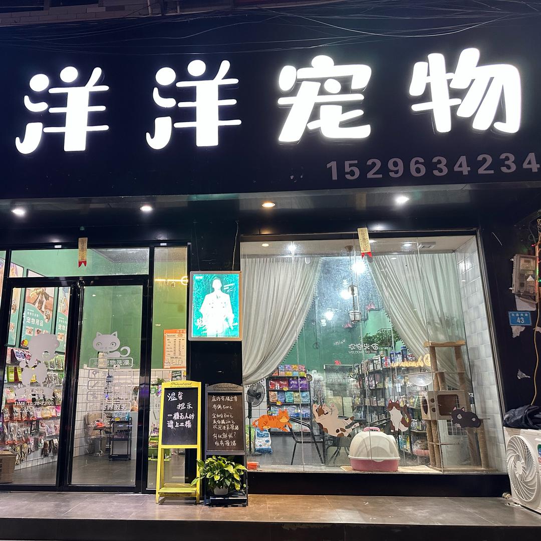 大化洋洋宠物🐾妮妮