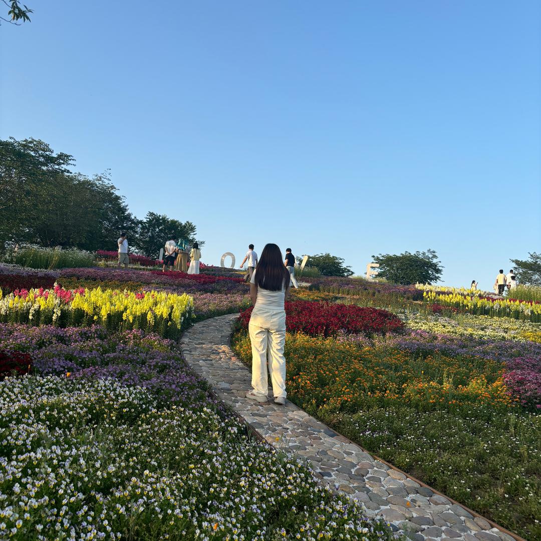 ☪꯭᭄꯭小激动ღ᭄