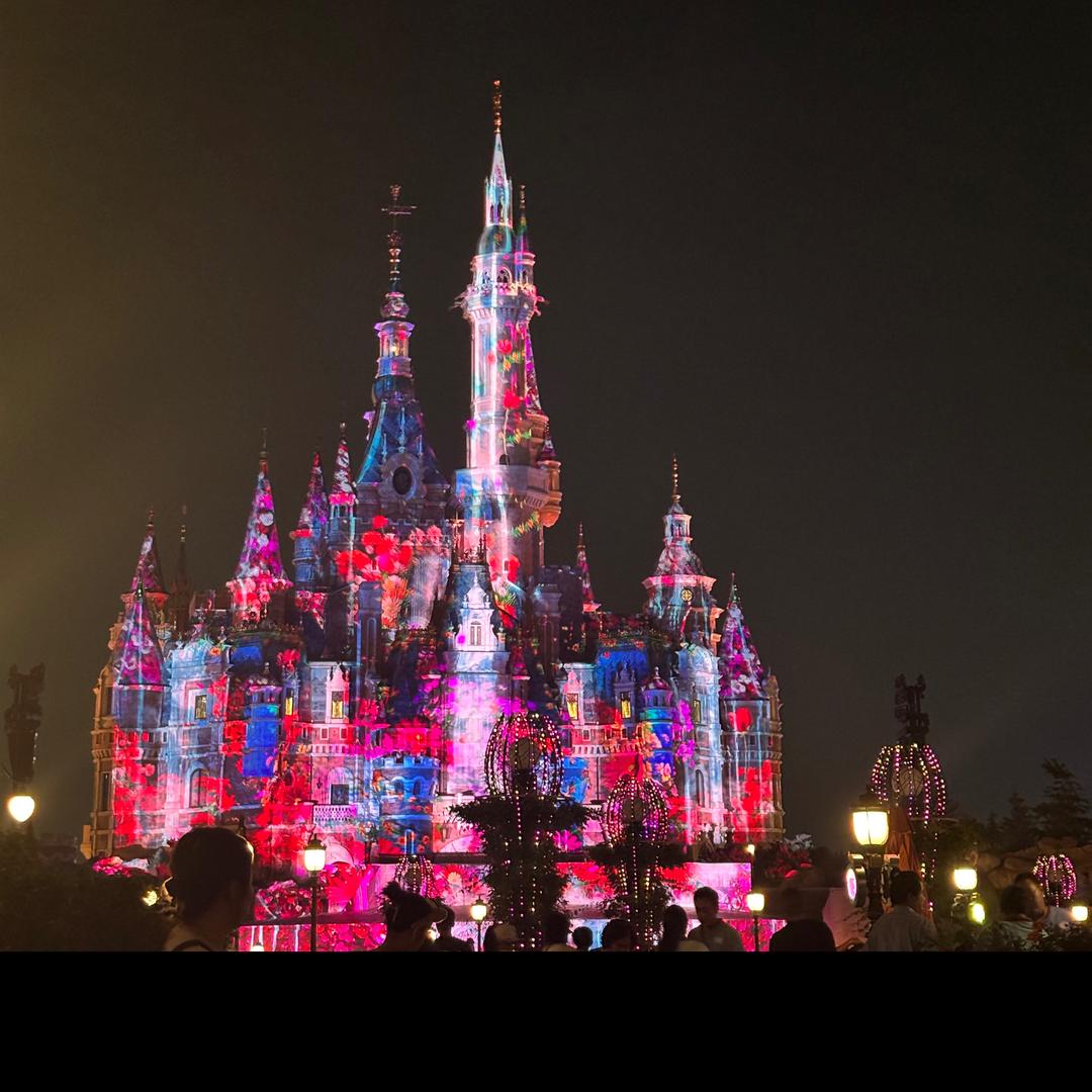 金牌带玩管家.白鸽