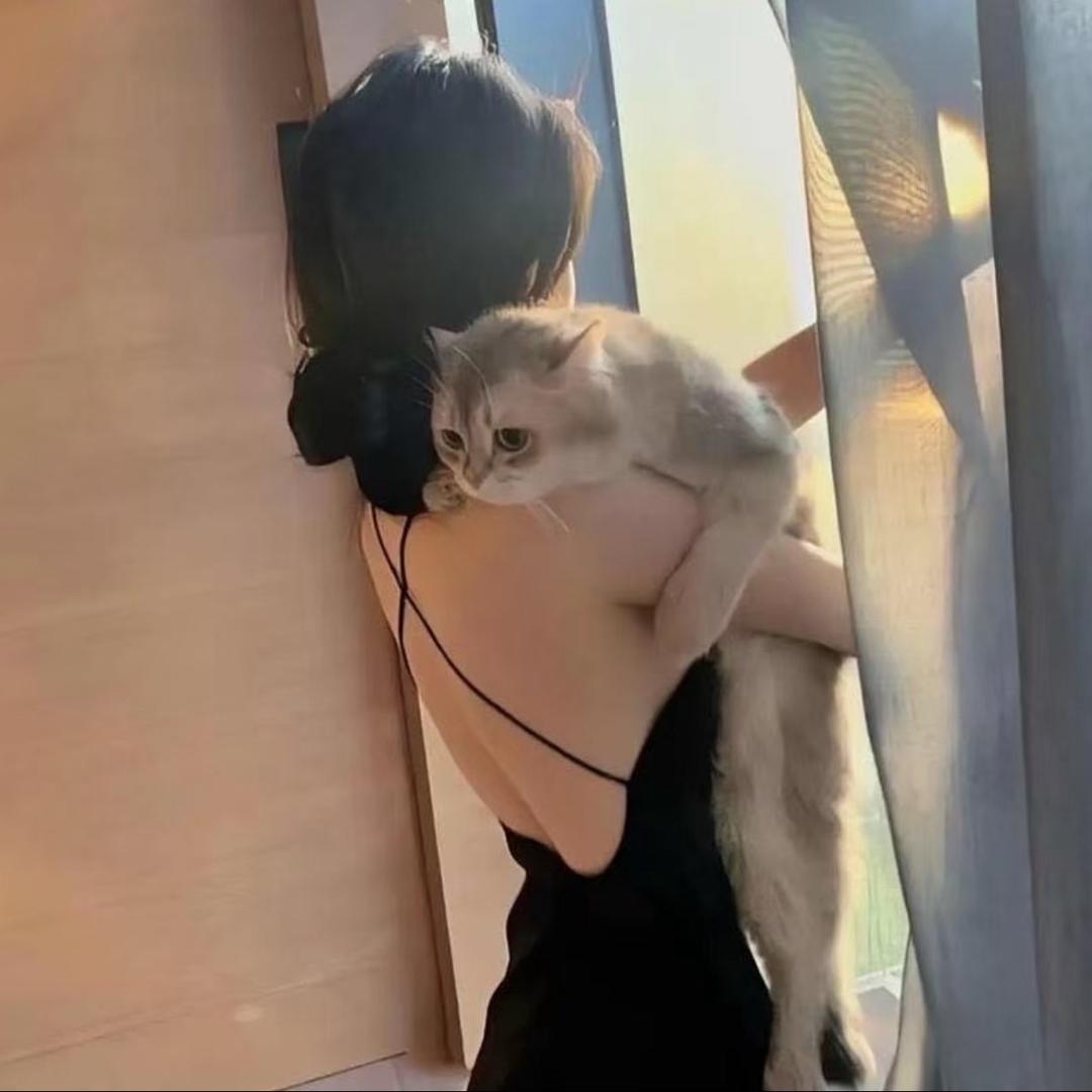 🍂᭄ཽ࿆小懒猫❀ ͜҉。